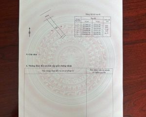 Chính chủ bán đất thổ cư 100m² tại Yên Mỹ, Hưng Yên – Vị trí đẹp, giá tốt