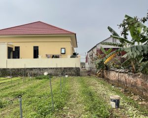 Cần bán mảnh đất 425m2 cách chợ Đông Tảo 200m full thổ cư mua đầu tư chia lô đẹp