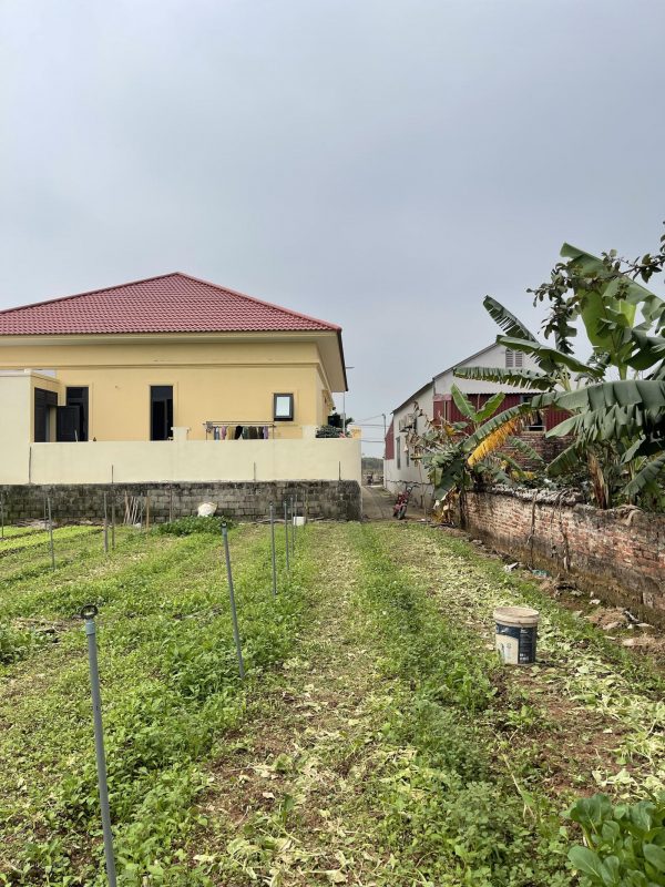 Cần bán mảnh đất 425m2 cách chợ Đông Tảo 200m full thổ cư mua đầu tư chia lô đẹp