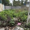 Bán đất 93,6 m2 khu đấu giá thôn Ngải Dương, Xã Đình Dù, Văn Lâm, Hưng Yên