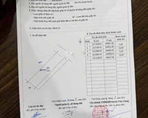 Cần bán 114m2 view hồ Bá Khê Liên Nghĩa, Văn Giang