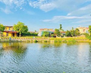 Cần bán 114m2 view hồ Bá Khê Liên Nghĩa, Văn Giang