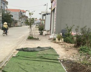 Bán đất 125 m2 tại Trịnh Xá, Chỉ Đạo, Văn Lâm, Hưng Yên, 37,5 triệu/m2