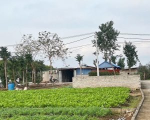 Bán đất 88m2 Siêu Đẹp Đông Tảo - Khoái Châu Sát chợ đầu mối chỉ với 2tỷ 332triệu