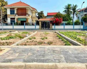 Chính chủ cần bán đất đấu giá 57m² rẻ nhất phiên tại Văn Lâm – Tiềm năng tăng giá mạnh