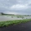 Chính chủ cần bán đất đấu giá 57m² rẻ nhất phiên tại Văn Lâm – Tiềm năng tăng giá mạnh