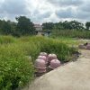 Bán đất Phù Thượng, Thắng Lợi giá rẻ giật mình
