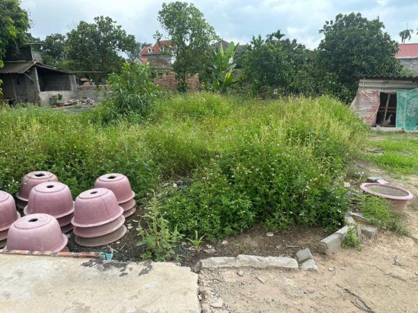 Bán đất siêu hot Thôn CD Quán Trạch, 72,8m² chỉ 2,475 tỷ – Giá cực hời!