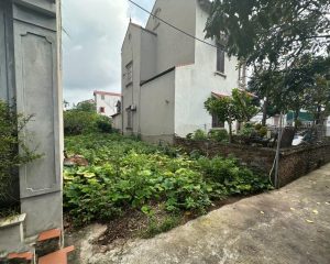 Bán Đất Đan Kim, 2,8 tỷ, 76m2, mặt tiền 4,8m, ngõ 2m, pháp lý đầy đủ, ô tô đỗ cách 10m.