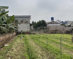 Bán đất 425m² full thổ cư, cách chợ Đông Tảo chỉ 200m – Đầu tư chia lô siêu đẹp