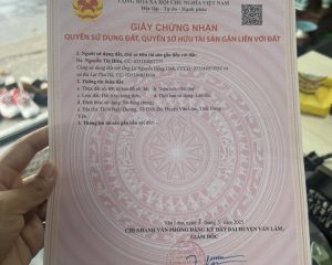100m đấu giá Ngải Dương Đình Dù Văn Lâm lô áp góc đầy tiềm năng.