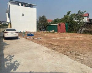 Cần bán gấp 103,3m² đất thổ cư tại Quán Trạch, Liên Nghĩa, Văn Giang