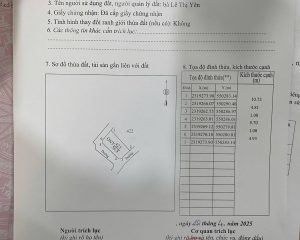 Siêu phẩm đất 3 mặt tiền Trưng Trắc, Văn Lâm – Giá chỉ dưới 3 tỷ