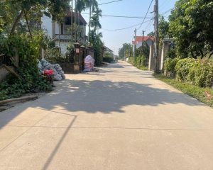 Cần bán gấp 103,3m² đất thổ cư tại Quán Trạch, Liên Nghĩa, Văn Giang