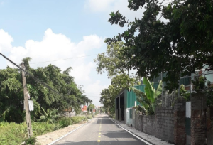 Lô góc 117m2 đấu giá Đại Tài Nghĩa Trụ trục chính Huyện DH20