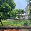 Bán đất góc 3 mặt tiền tại Nghĩa Trai, Như Quỳnh – Giáp Vin 3