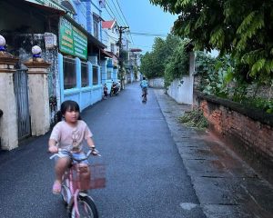 Đất nền trục chính Tân Quang – Văn Lâm, sát Vin 3, vị trí siêu đẹp