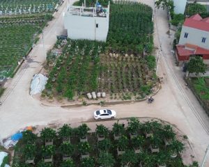 Bán siêu phẩm góc Đấu giá Hoàng Trạch, Mễ Sở vuông như bánh chưng 138.5m2