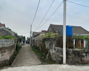 Bán ngay 373.1m2 đất mặt tiền 20m tách thửa đẹp tại Tống Trân, Phù Cừ, Hưng Yên