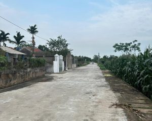 Bán ngay 373.1m2 đất mặt tiền 20m tách thửa đẹp tại Tống Trân, Phù Cừ, Hưng Yên
