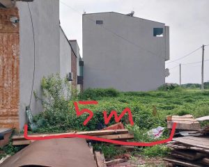 Bán lô đấu giá 78.2 m² và 92m² tại Ngải Dương, Đình Dù, Văn Lâm sát KCN Phố Nối A đầy tiềm năng phát triển