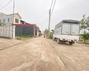 Bán Đất 206m2 tại Xã Liên Nghĩa, Văn Giang, Hưng Yên giá tốt