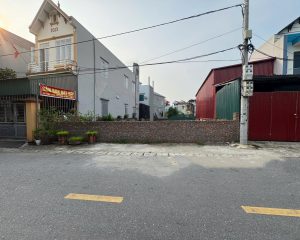 Cần bán gấp lô đất ! 253m2 mặt tiền 11.1m view sông Bắc Hưng Hải nhìn sang Vin 2.3 .
