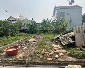 Bán đất tại Long Hưng, Văn Giang, Hưng Yên, giá ưu đãi, 52 triệu VND, 77.5m2