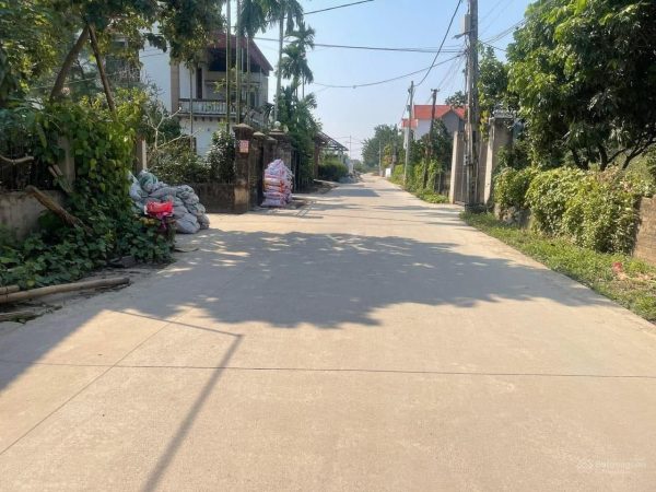 Bán nhanh 103,3m² đất đấu giá Quán Trạch, Liên Nghĩa, Văn Giang – Giá tốt đầu tư