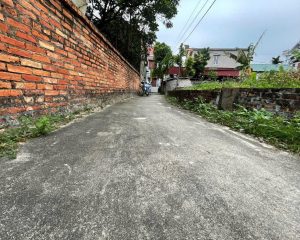 Hiếm! Bán gấp đất đẹp 60.5m² tại Mỹ Hào – Cạnh KCN 20ha, sẵn sổ, chỉ 950 triệu