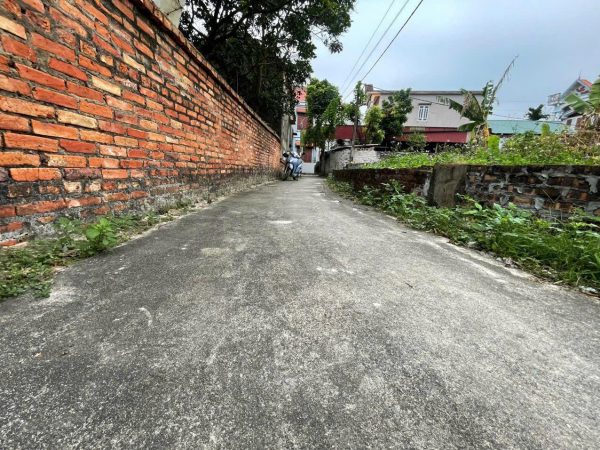 Hiếm! Bán gấp đất đẹp 60.5m² tại Mỹ Hào – Cạnh KCN 20ha, sẵn sổ, chỉ 950 triệu