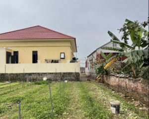 Cần bán mảnh 400m2 Đông Tảo full thổ cư giá 16, triệu/m, chia 5 lô