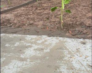 Bán đất Xã Tiên Tiến - Phù Cừ - Hưng Yên