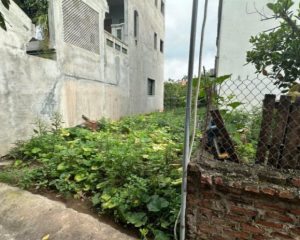 Bán đất Đan Kim, 2,964 tỷ, 76m2, mặt tiền 4,8m, ngõ 2m, pháp lý đầy đủ, ô tô đỗ cách 10m