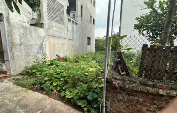 Bán đất Đan Kim, 2,964 tỷ, 76m2, mặt tiền 4,8m, ngõ 2m, pháp lý đầy đủ, ô tô đỗ cách 10m