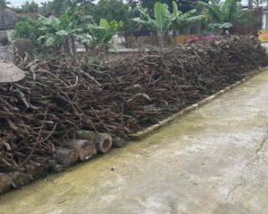 Bán đất thôn Hạ Đồng - Xã Nguyên Hoà - Phù Cừ - Hưng Yên