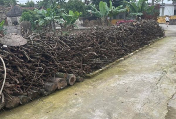 Bán đất thôn Hạ Đồng - Xã Nguyên Hoà - Phù Cừ - Hưng Yên