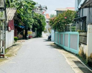 Giá cực tốt chỉ 39 triệu/m2 sở hữu ngay 122,8m2 trục chính kinh doanh Nghĩa Trụ - Văn Giang sát VHO
