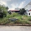Bán đất tại đấu giá Minh Hải, Xã Lạc Hồng, Văn Lâm, Hưng Yên, giá thỏa thuận, 82m2