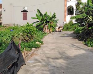 Bán lô góc 60m² Hoà Phong, Mỹ Hào – Đường ô tô, giá rẻ cho nhà đầu tư