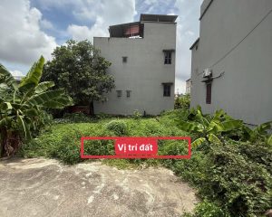 Bán lô góc 60m² Hoà Phong, Mỹ Hào – Đường ô tô, giá rẻ cho nhà đầu tư
