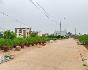 Bán 87,5m² đất tặng kèm nhà 2 tầng mới xây tại Hoàng Trạch, Mễ Sở – Hưng Yên, giáp Vành Đai 4, giá chỉ từ 5,x triệu/m²