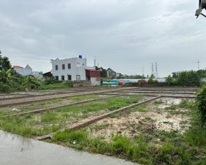 Siêu Hời! Bán Đất 60m² Tại Đường 5, Minh Đức – Mỹ Hào – Hưng Yên, Chỉ 1,3 Tỷ
