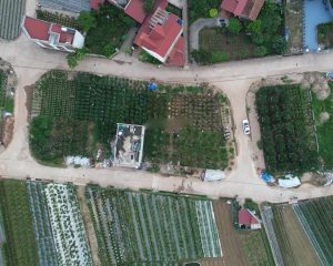 Bán đất đấu giá Hoàng Trạch, Mễ Sở ngay gần vành đai 4