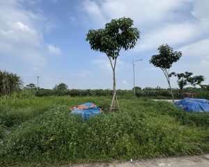 Đấu giá 90 m² Đông Tảo giá tốt nhất khu cho NĐT