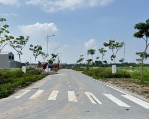 Đấu giá 90 m² Đông Tảo giá tốt nhất khu cho NĐT