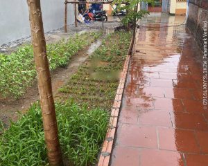 Bán đất thổ cư 55,4m², sổ đỏ cc Thôn ThụyXuyên, Mỹ Hào Hưng Yên, đường ô tô tránh nhau