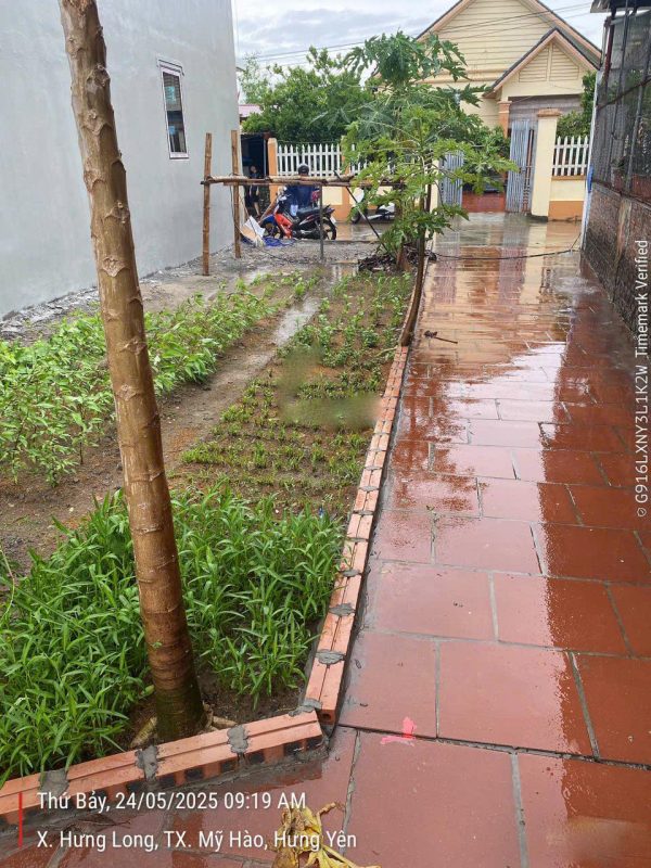 Bán đất thổ cư 55,4m², sổ đỏ cc Thôn ThụyXuyên, Mỹ Hào Hưng Yên, đường ô tô tránh nhau