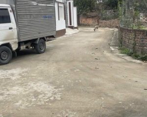 Chủ gửi lô đất tại thôn Lê xá xã dương Quang thị xã Mỹ hào Diện tích 52,5 m2 Bán theo hiện trạng