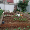 Chính chủ bán lô đất đấu giá tại làng hoa Phụng Công 80,5m2. Vị trí trung tâm, gần trường, chợ